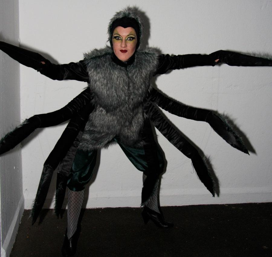 Foto von DAS GAUKLERMÄRCHEN Musical nach Michael Ende, Peter Steiner, 2008
